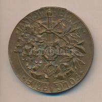 Osztrák-Magyar Monarchia 1916. Isonzói csatáknak emléket állító Br egyoldalas plakett (64mm) "FOLGARIA - XV MCMVI" szign.: H. Kautsch T:2 Austro-Hungarian Monarchy 1916. Br plaquette commemorate the Battles of the Isonzo,  "FOLGARIA - XV MCMVI" sign.: H. Kautsch C:XF