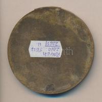 Osztrák-Magyar Monarchia 1916. Isonzói csatáknak emléket állító Br egyoldalas plakett (64mm) "F...