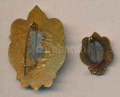 A Temesvári Pelbárt Ferences Gimnázium és Kollégium zománcozott jelvénye és sapkadísze, T:2