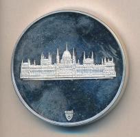 Bozó Gyula (1913-2004) DN. "Magyar Köztársaság Országgyűlése" ezüstözött fém emlékérem (42...