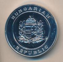 DN "Hungarian Republic - House of Parliament" ezüstözött emlékérem (42,5mm) T:1 Dísztokban