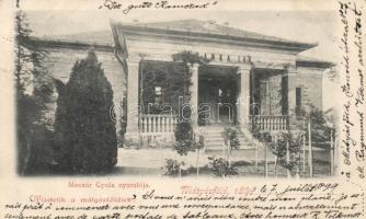 1899 Budapest XVI. Mátyásföld, Moczár Gyula nyaralója (kis szakadás / small tear)