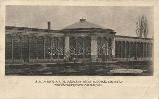 Budapest VIII. Pázmány Péter Tudományegyetem Növénykertjének pálmaháza (fa)