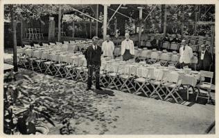 Losonc Régi Vigadó / the restaurant of Ferenc Kalmár (fa)