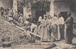 Nagykőrös uborkaszedés (EK)