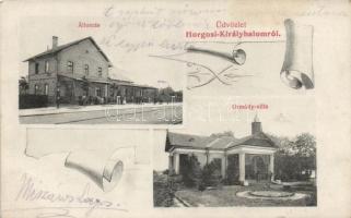 Horgosi Királyhalom railway station, Villa Ormódy