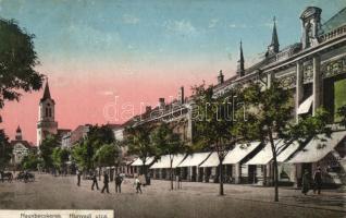 Nagybecskerek Hunyadi street (Rb)