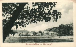 Nagyborosnyó, Borosnyó (fl)