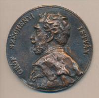 DN Gróf Széchenyi István Br plakett, Berán kópia T:2 Dísztokban