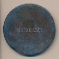 DN Gróf Széchenyi István Br plakett, Berán kópia T:2 Dísztokban