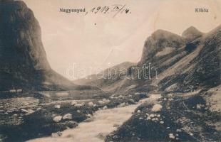 Kőköz (Nagyenyed) (Fa)