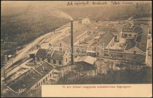 Algyógy iron works
