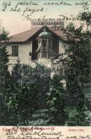 Verőce (Nógrádverőce) Madari villa (EK)