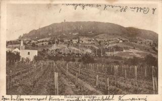 Badacsony, szőlőföld