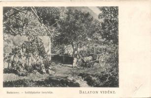 Badacsony szőlőpásztor kunyhója (fa)