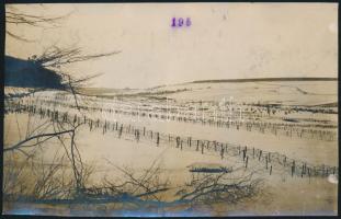 1916 Orosz front drótakadály mező, korabeli fotó