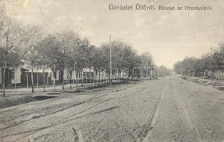 Üllő országút (fa)