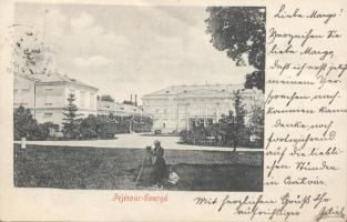 Fehérvárcsurgó kastély (fa)