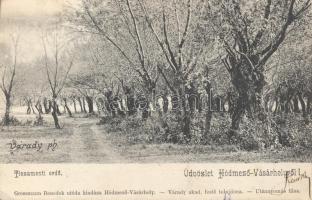 Hódmezővásárhely Tisza menti erdő (EK)