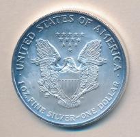 Amerikai Egyesült Államok 2003. 1$ Ag "Liberty" aranyozott részekkel T:1
USA 2003. 1 Dolla...