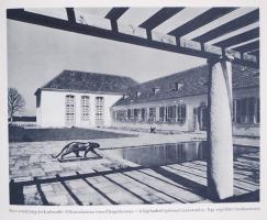 Albert Speer: Az új német építőművészet. Berlin 1940. Volk und Reich Verlag. Jó állapotban, sok képp...