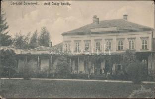 Öttevény gróf Csáky kastély (ázott / wet damage)