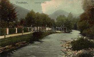 Fenyőháza river (small tear)