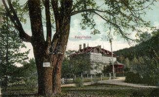 Fenyőháza Erzsébet park (wet damage)