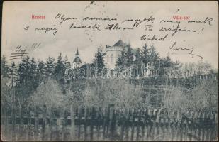 Balatonkenese Villa sor (EK)