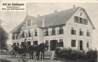 Scheiblingstein Hotel Haberfellner  (wet damage)