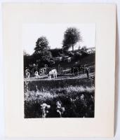 1917 Kaposfő - Legeltetés. Kartonra kasírozva, 34x28cm