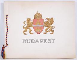 1909 Budapest Székesfőváros a XVI. Nemzetközi Orvosi Kongresszus tagjainak - dombornyomásos fedelű albumfüzet 50 képpel, Hornyánszky Viktor nyomdájából / Budapest picture booklet