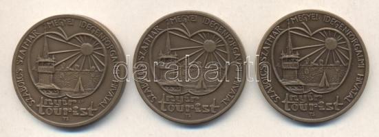 Tóth Sándor (1933-) 1994. "MÉE Szabolcs-Szatmár Megyei Idegenforgalmi Hivatal / Túristvándi / C...