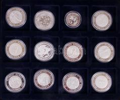NSZK 1991-1993. "Az USA elnökei" sorozat, benne 24db klf Ag (0.999/15g) emlékérem T:PP Tan...