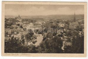 Teplitz Schönau mit Synagoge