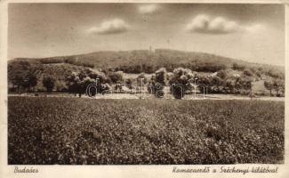 Budaörs Kamaraerdő a Széchenyi kilátóval (fa)