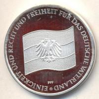 NSZK 1990. "Michail Gorbatschow" Ag emlékérem (19.84g/0.999) T:PP
GFR 1990. "Michail ...