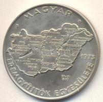 Csúcs Viktória (1934-) 1973. MÉE - Magyarország Ag(0.800)/24,1g emlékérem (42,5mm) T:BU