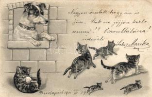 Cats, dog Emb. litho (EK)