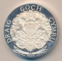 Nagy-Britannia 1969. "Károly walesi herceg" Ag emlékérem (35g/0.999) T:PP
Great Britain 19...