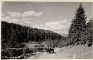 Homoródfürdő road with horse cart (EK)