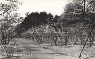 Unidentified Japanese postcard, alley