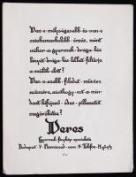 Veres fotó reklámfüzet, benne híres emberek gyermekeinek fotóival 10 lapos leporello