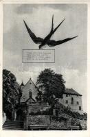 Engelberg Abbey with swallow (EK)