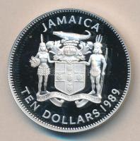 Jamaica 1989. 10$ Ag "Kolumbusz felfedezi az Új Világot" T:PP 
Jamaica 1989. 10 Dollars Ag...