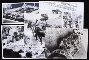 A kocsi története: 50 fotóillusztráció képaláírásokkal / history of the cars