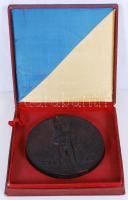 "1361-1961 Debrecen 600 éve város" feliratú bronz plakett, nagyméretű, jelzés nélkül, ered...