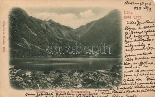 1899 Tátra / Tatra Mountains with pound (EM)