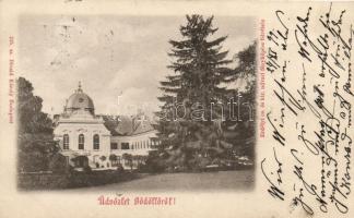 1899 Gödöllő királyi kastély Divald