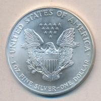Amerikai Egyesült Államok 2001. 1$ Ag/31,1g "Liberty" T:1-
USA 2001. 1 Dollar "Libert...